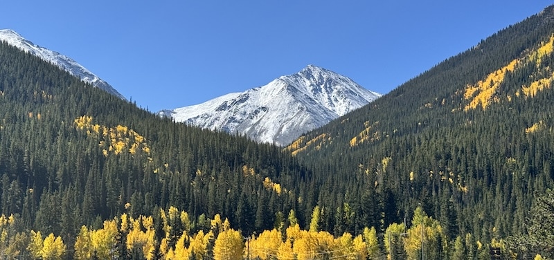 Autumn in Colorado